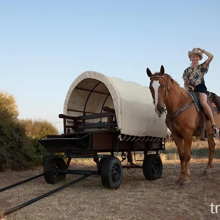 Willa Billy Farmland By Travelpro Services- Halkidiki *