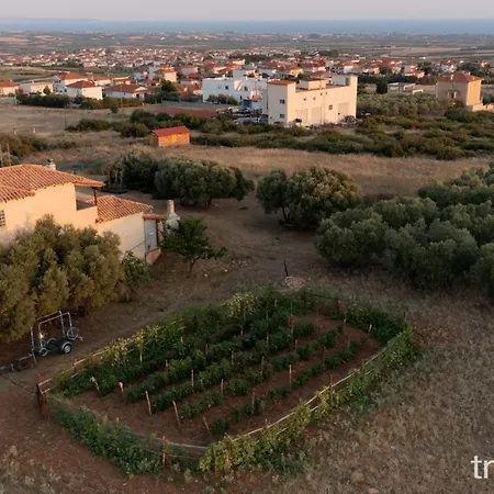 Billy Farmland By Travelpro Services- Halkidiki Willa Nea Triglia