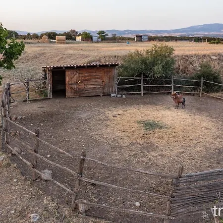Willa Billy Farmland By Travelpro Services- Halkidiki *