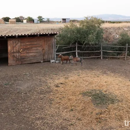 Willa Billy Farmland By Travelpro Services- Halkidiki *