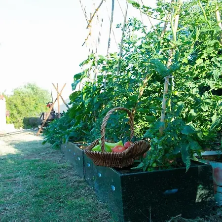Billy Farmland By Travelpro Services- Halkidiki Willa *