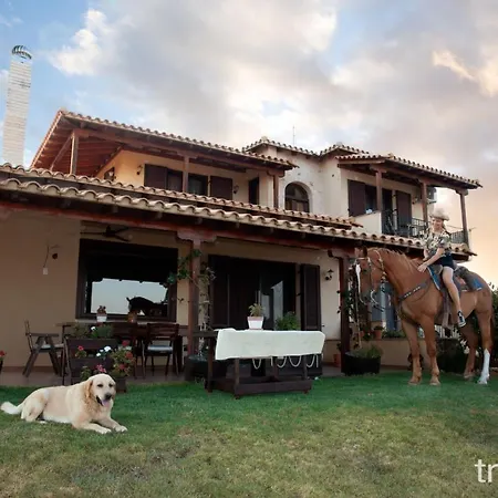 Billy Farmland By Travelpro Services- Halkidiki Villa Nea Triglia