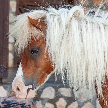 Billy Farmland By Travelpro Services- Halkidiki
